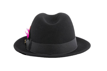 Ferrecci Brooks Soft 100% Australian Wool Felt Body with Removable Feather Fully Crushable black hat Great for Travel