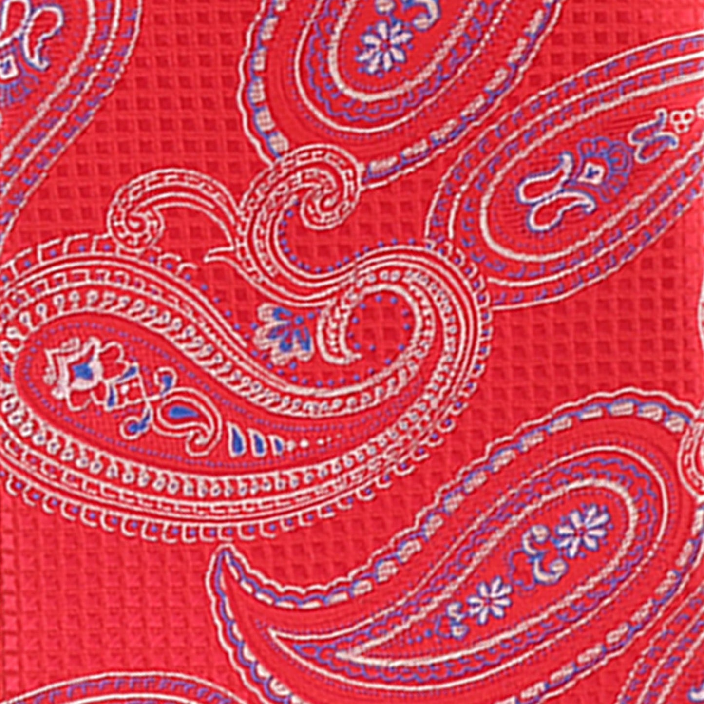 Vittorio Farina Paisley Designer Necktie & Pocket Square