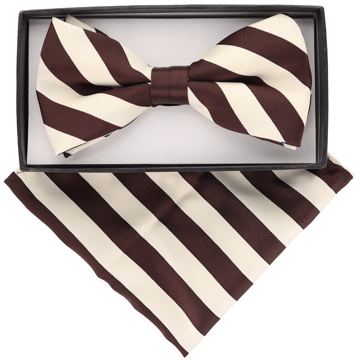 Vittorio Farina Striped Bow Tie & Pocket Square