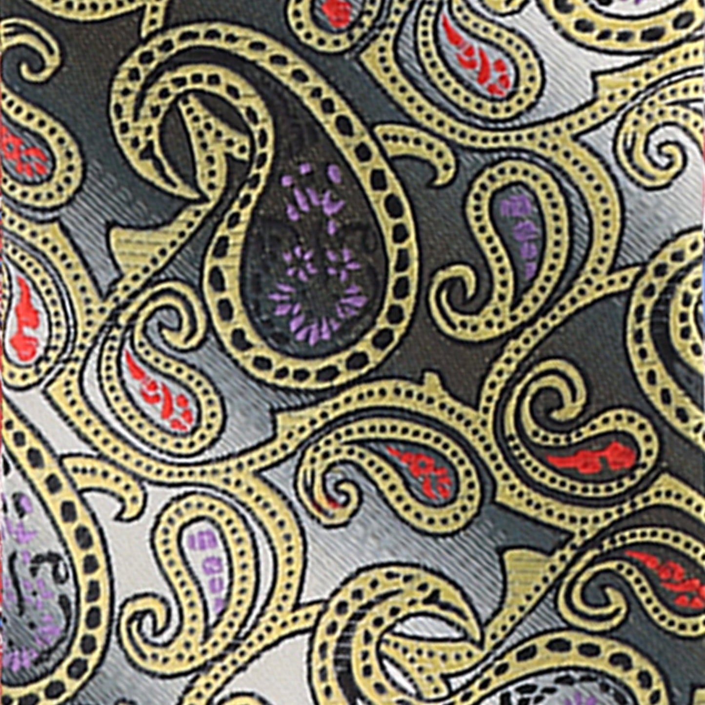 Vittorio Farina Paisley Designer Necktie & Pocket Square