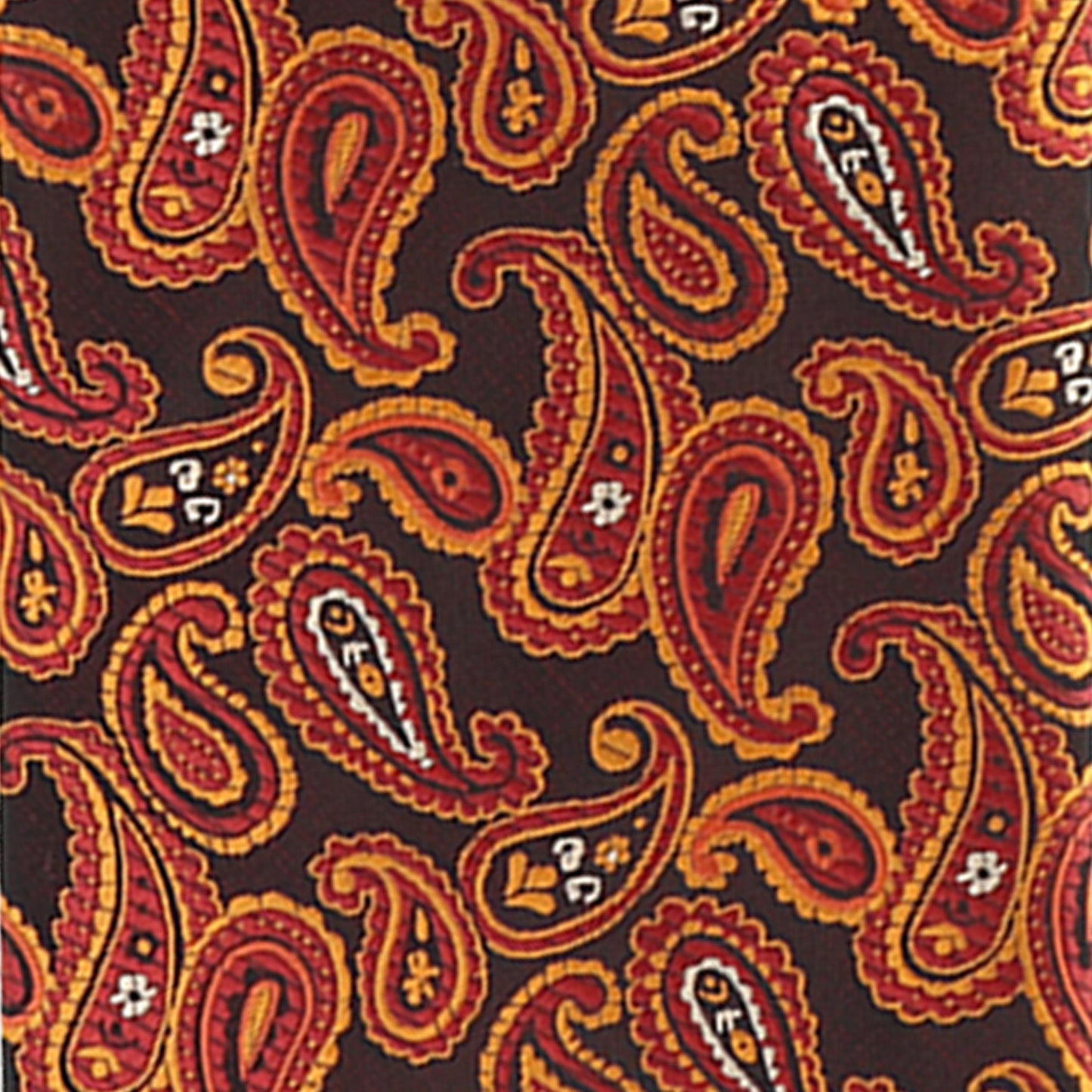 Vittorio Farina Paisley Designer Necktie & Pocket Square